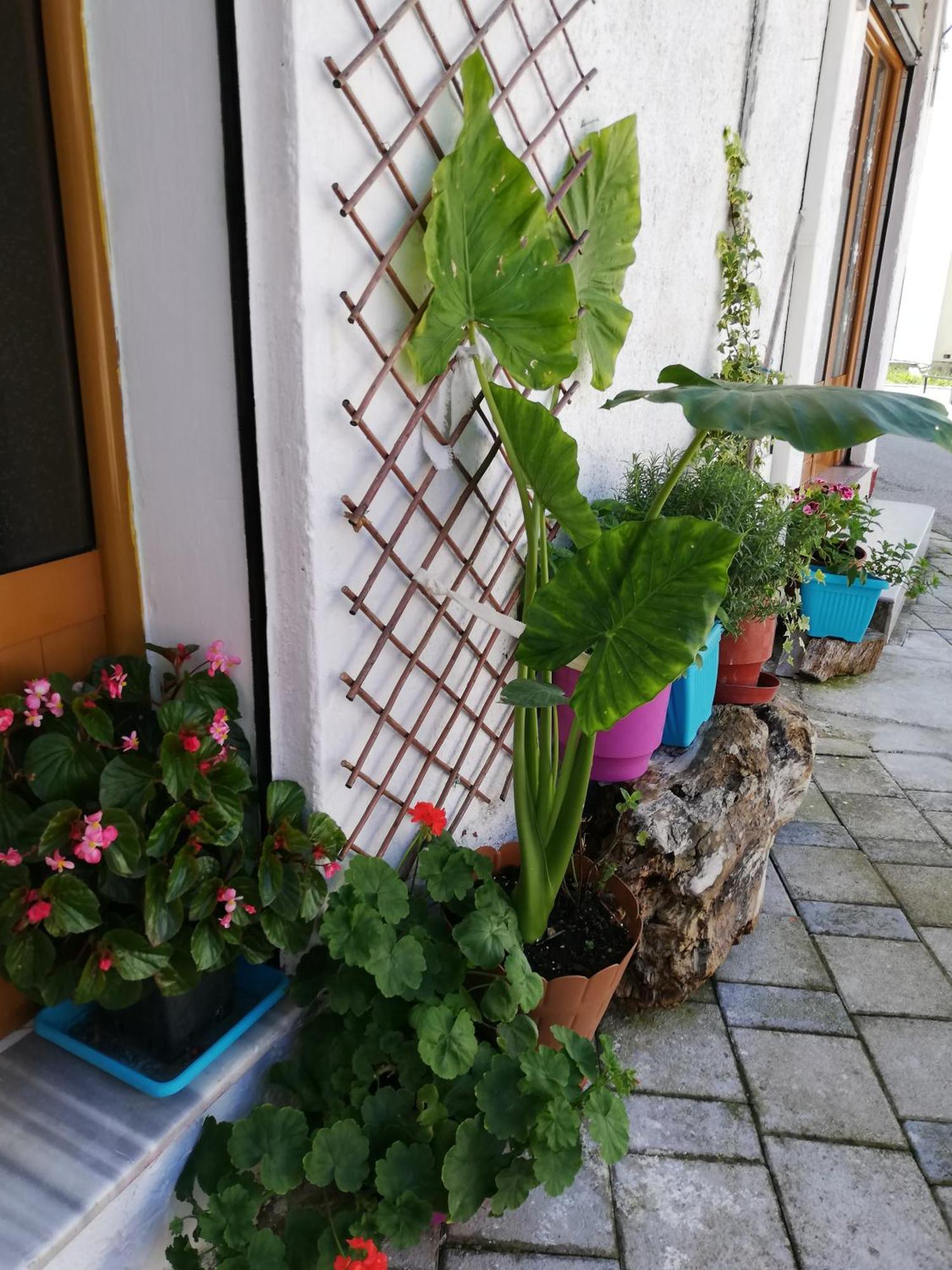 Хостел Casa Mia Влёра Экстерьер фото